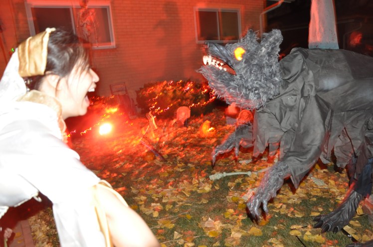 Halloween Party Decor and Lighting Denver's Best DJs